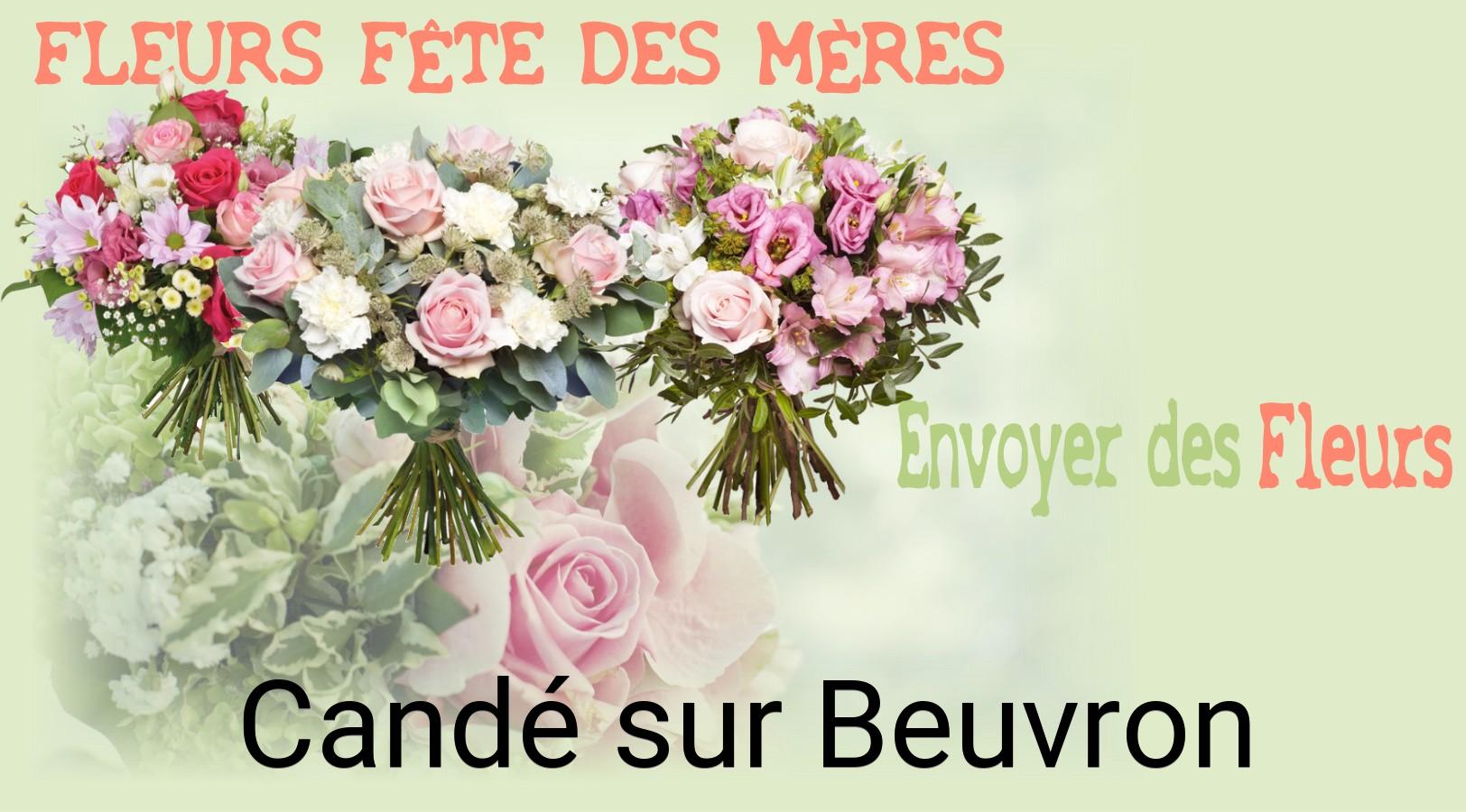 Bouquet de Fête des Mères livré à Candé-sur-Beuvron